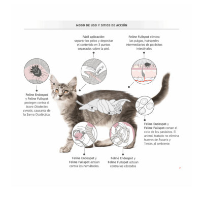 Feline Fullspot Pipeta 2-5kg Antipulgas y antiparasitario FELINE - 2