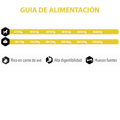 Amity Premim Activity para Perros 15Kg Amity - 3