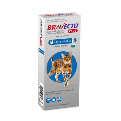 Bravecto Plus 250 mg Pipeta Para gatos 2.8kg - 6.25kg Bravecto - 1