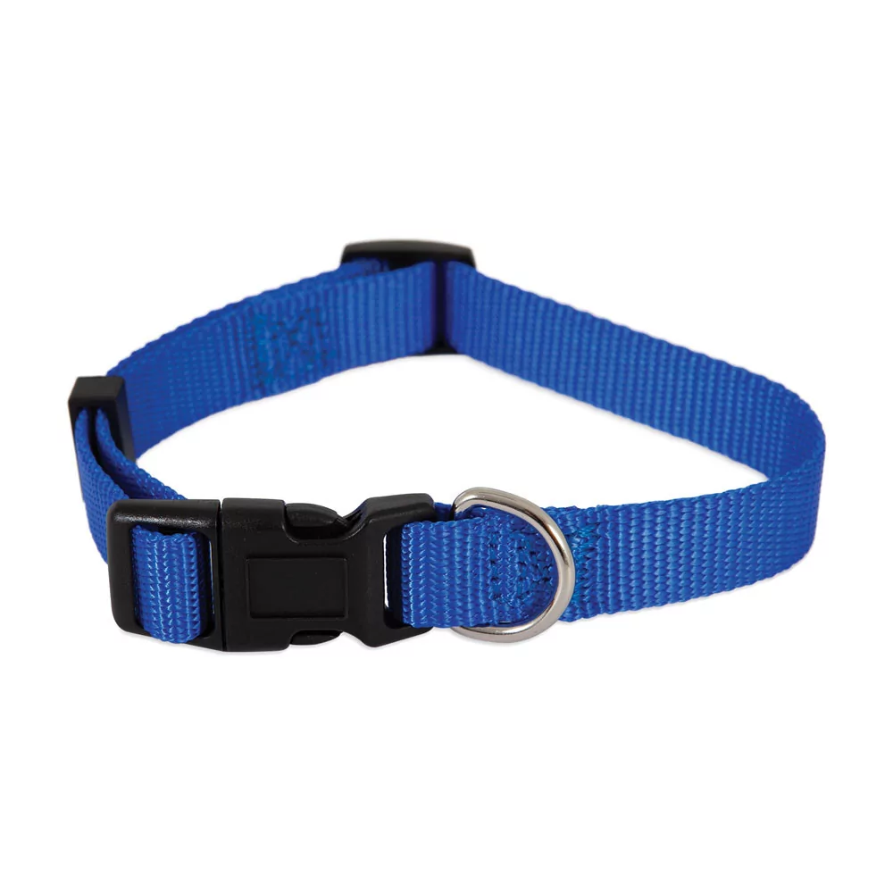 Petmate Collar Ajustable de Nylon Azul Talla M PETMATE - 1 Petmate Collar Ajustable de Nylon Azul Talla M PETMATE - 1
