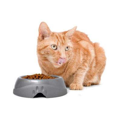 Petmate Plato Ultra Ligero Pequeño 1 Taza PETMATE - 2