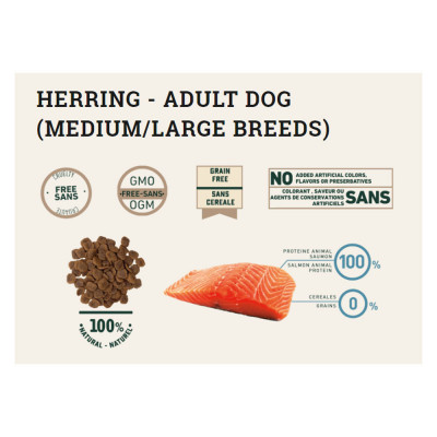 Alimento Bravery Herring Adulto Razas Medianas/Grandes 4Kg Bravery - 2