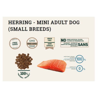 Alimento Bravery Herring Mini Adulto Raza Pequeña 2Kg Bravery - 2