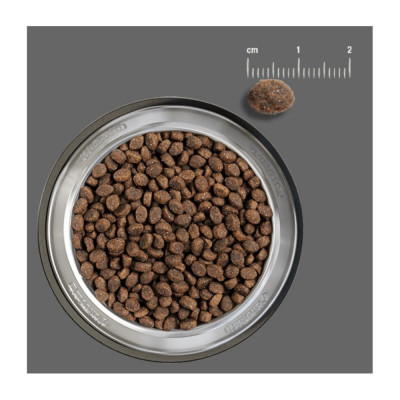 Belcando para Cachorros Libre de Granos Poultry 4 Kg Belcando - 2