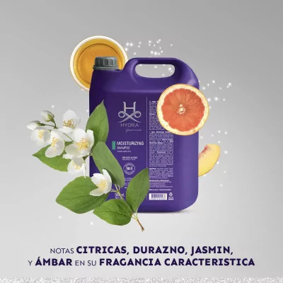 Shampoo Profesional Hydra Moist 5 litros