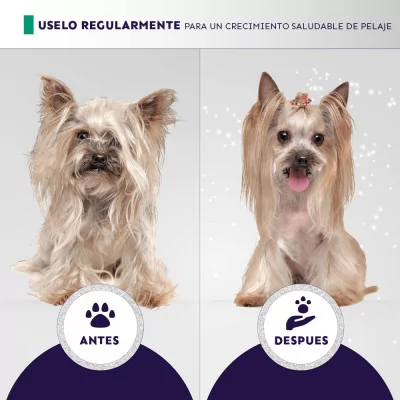 Hydra Odor Neutralizing Shampoo Neutralizador de Olores 5ltr Perros y Gatos