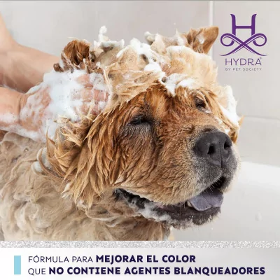 Hydra Whitening Shampoo 5000 ml Champú Blanqueador para Perros y Gatos