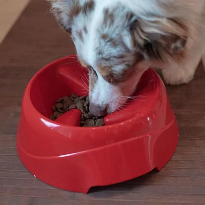 FERPLAST Plato Comedero Antivoracidad para perros Magnus Slow Small