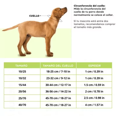 Ferplast Collar Ajustable Club C Blanco para Perros C15/44