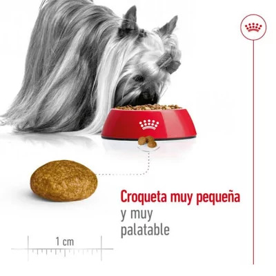 Alimento Royal Canin SHN para Perros X-Small Adulto 1.5Kg