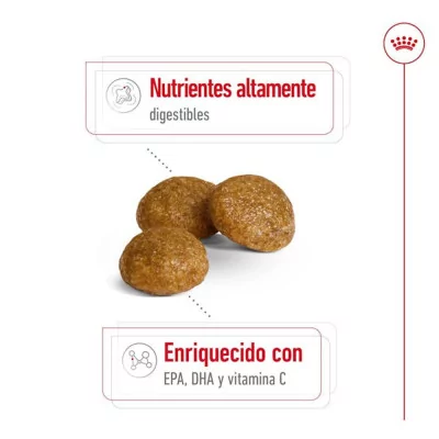 Alimento Royal Canin SHN para Perros X-Small Adulto 1.5Kg