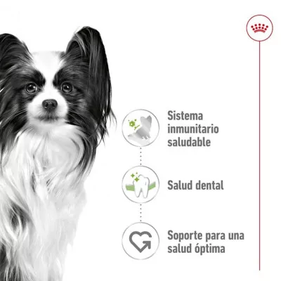 Alimento Royal Canin SHN para Perros X-Small Adulto 1.5Kg