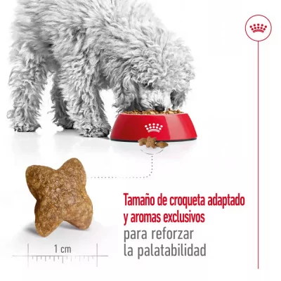 Alimento Royal Canin SHN para Perros Mini Adulto 4Kg