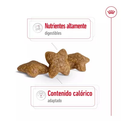 Alimento Royal Canin SHN para Perros Mini Adulto 4Kg