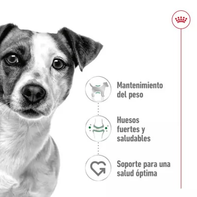 Alimento Royal Canin SHN para Perros Mini Adulto 4Kg