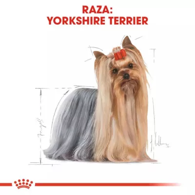 Alimento Royal Canin BHN para Perros Yorkshire Adulto 3Kg