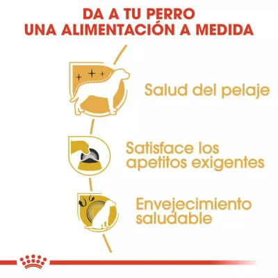 Alimento Royal Canin BHN para Perros Yorkshire Adulto 3Kg