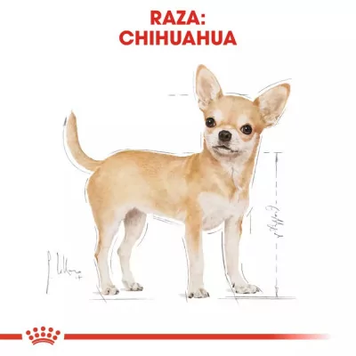 Alimento Royal Canin BHN para Perros Chihuahua Adulto 3Kg