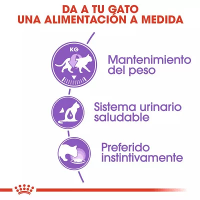 Salsa Royal Canin FHN para Gatos Esterilizados 12x85gr