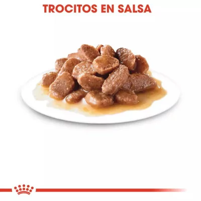 Salsa Royal Canin FHN para Gatos Esterilizados 12x85gr