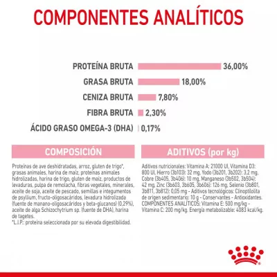Alimento Royal Canin FHN para Gatitos 10Kg