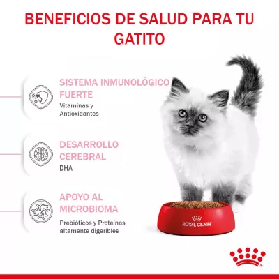 Alimento Royal Canin FHN para Gatitos 10Kg