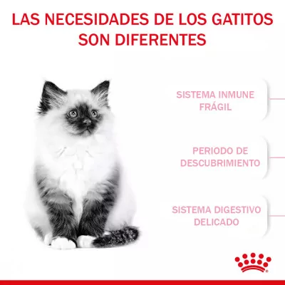 Alimento Royal Canin FHN para Gatitos 10Kg