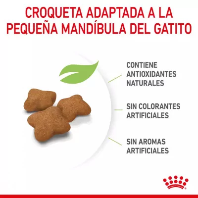 Alimento Royal Canin FHN para Gatitos Esterilizados 2Kg