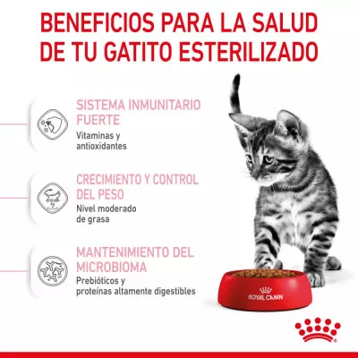 Alimento Royal Canin FHN para Gatitos Esterilizados 2Kg