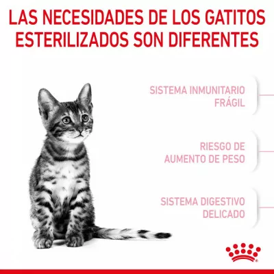 Alimento Royal Canin FHN para Gatitos Esterilizados 2Kg