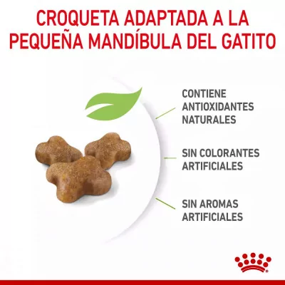 Alimento Royal Canin FHN para Gatitos 10Kg