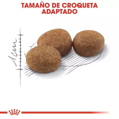 Alimento Royal Canin FHN para Gatos Esterilizados 37 2kg