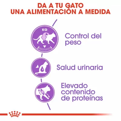Alimento Royal Canin FHN para Gatos Esterilizados 37 2kg