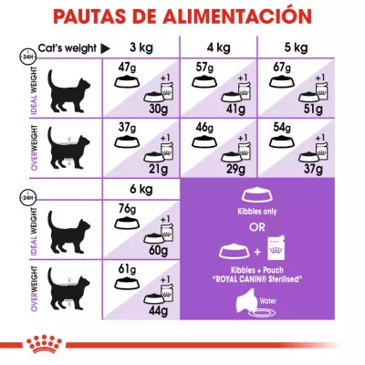 Alimento Royal Canin FHN para Gatos Esterilizados 37 10kg