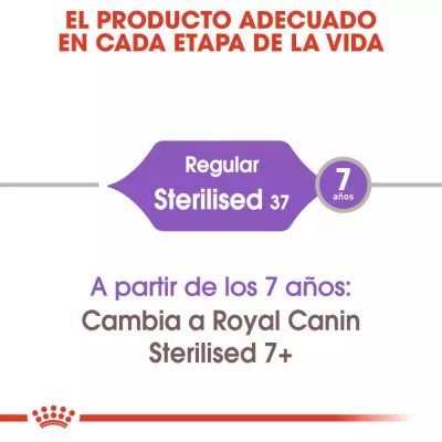 Alimento Royal Canin FHN para Gatos Esterilizados 37 10kg