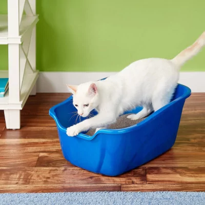 Vanness Litera Bandeja Grande Borde Alto Para Gatos CP2HS