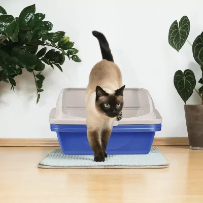 Vanness Litera Bandeja Abierta Cernidora con Marco para Gatos CP5