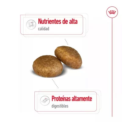 Alimento Royal Canin SHN para Perros Maxi Adultos 15Kg