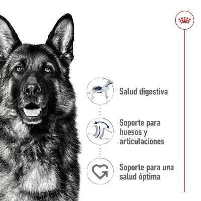 Alimento Royal Canin SHN para Perros Maxi Adultos 15Kg