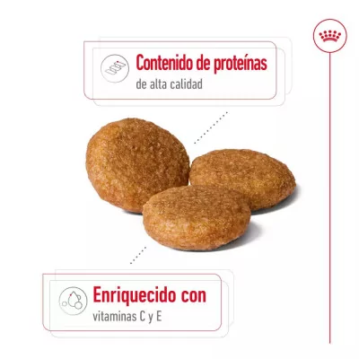 Alimento Royal Canin SHN para Perros Medianos Adultos 15Kg