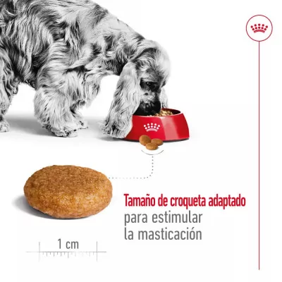 Alimento Royal Canin SHN para Perros Medianos Adultos 15Kg