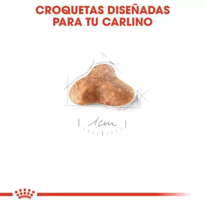 Alimento Royal Canin BHN para Perros Pug Adulto 3Kg
