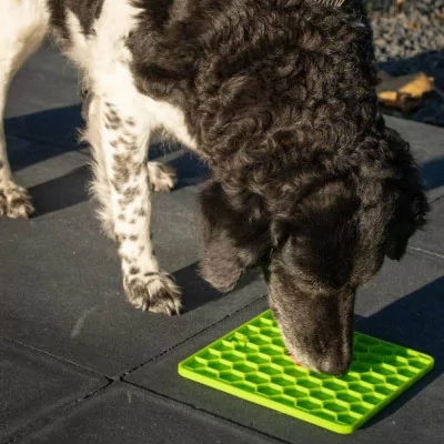 EATSlow live longer Plato Comedero Antiestres Lick Mat Verde