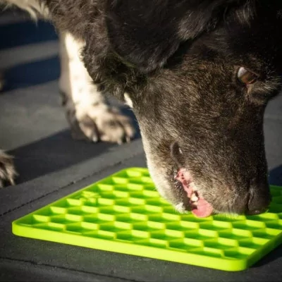 EAT Slow live longer Plato Comedero Antiestres Lick Mat Azul