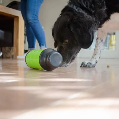 EAT Slow Live Longer Juguete p/ premios mascota Small Verde