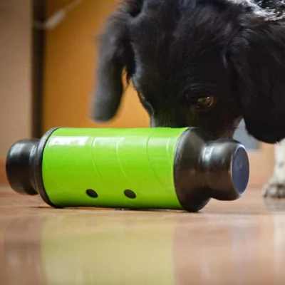 EAT Slow Live Longer Juguete p/ premios mascota Small Verde