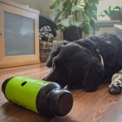 EAT Slow Live Longer Juguete p/ premios mascota Small Verde