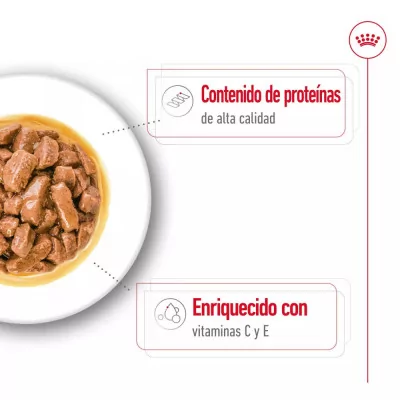 Salsa Royal Canin SHN para Perros Medianos Adultos 10x140gr