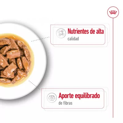 Salsa Royal Canin SHN para Perros Maxi Adultos 10x140gr