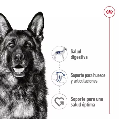 Salsa Royal Canin SHN para Perros Maxi Adultos 10x140gr
